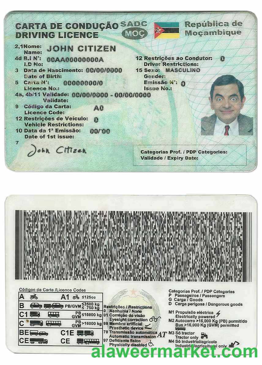Mozambique driving license